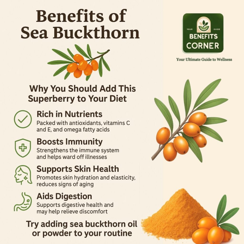 Buckthorn Benefits in Hindi: जानिए सी-बकथॉर्न बेरी और पाउडर के फायदे—इम्यूनिटी, स्किन हेल्थ और डाइजेशन के लिए असरदार सुपरफूड।