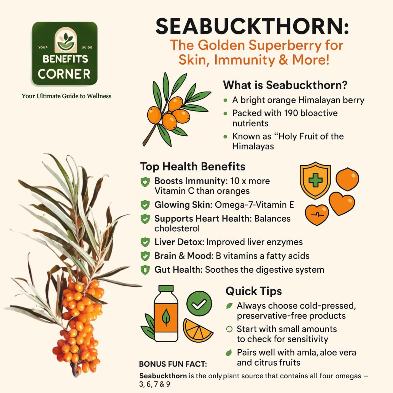 Seabuckthorn berries with tips and benefits for boosting immunity, glowing skin, heart health, and digestion.