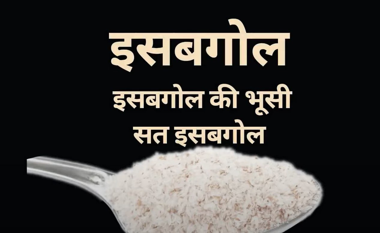 इसबगोल की भूसी का चम्मच – Isabgol 6 Benefits in Hindi के तहत पाचन, कब्ज़ और वजन घटाने में उपयोगी प्राकृतिक फाइबर Psyllium Husk