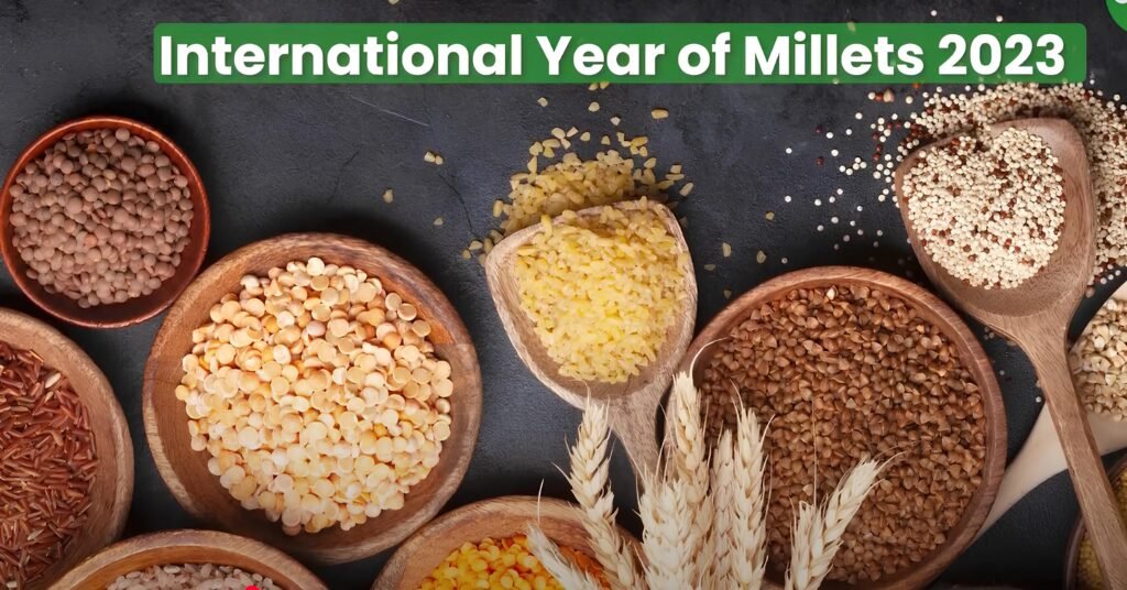 Millets 10 Benefits of Millets को दर्शाते विभिन्न प्रकार के मिलेट्स — जैसे बाजरा, कोदो, रागी, कुटकी और झंगोरा — जो लकड़ी के बर्तनों में प्राकृतिक रूप से प्रदर्शित हैं।