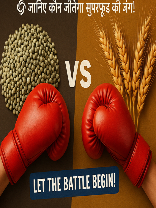 बाजरा vs गेहूं – कौन है हेल्थ का असली हीरो?