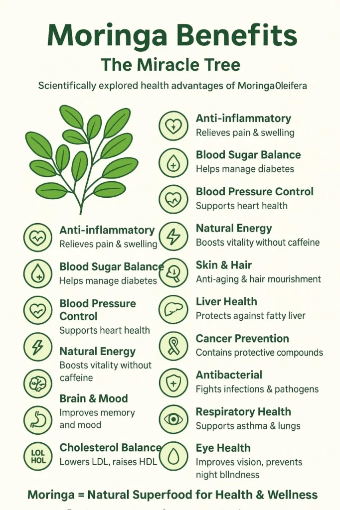 इन्फोग्राफिक जिसमें Moringa Benefits विस्तार से दिखाए गए हैं – सूजनरोधी प्रभाव, ब्लड शुगर संतुलन, ब्लड प्रेशर नियंत्रण, प्राकृतिक ऊर्जा, बेहतर मस्तिष्क और मूड, त्वचा और बालों का पोषण, लिवर स्वास्थ्य, कैंसर से बचाव, एंटीबैक्टीरियल गुण, श्वसन स्वास्थ्य, आंखों की देखभाल, कोलेस्ट्रॉल संतुलन और समग्र तंदुरुस्ती।